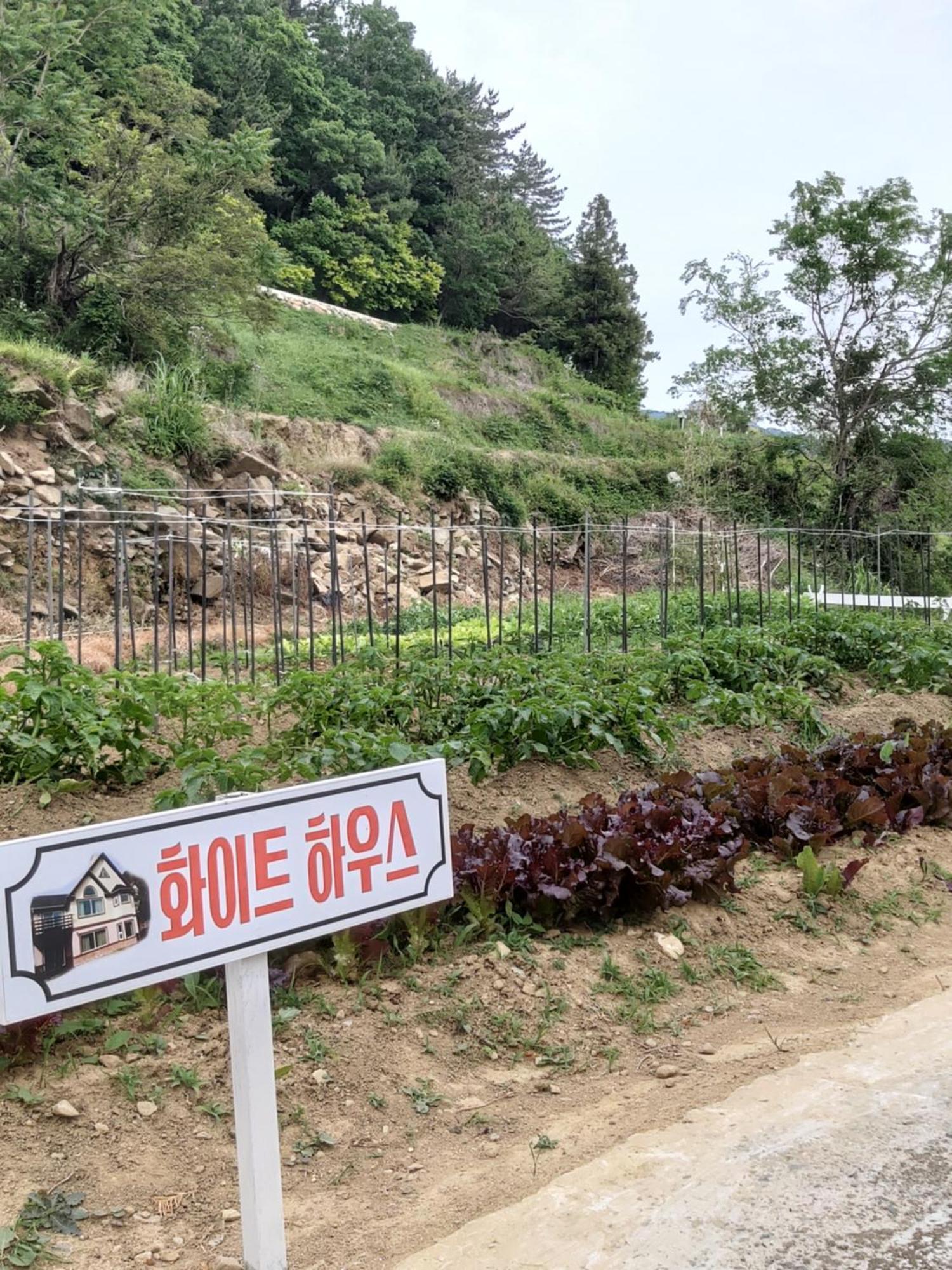 White House Hotel Namhae Exterior foto
