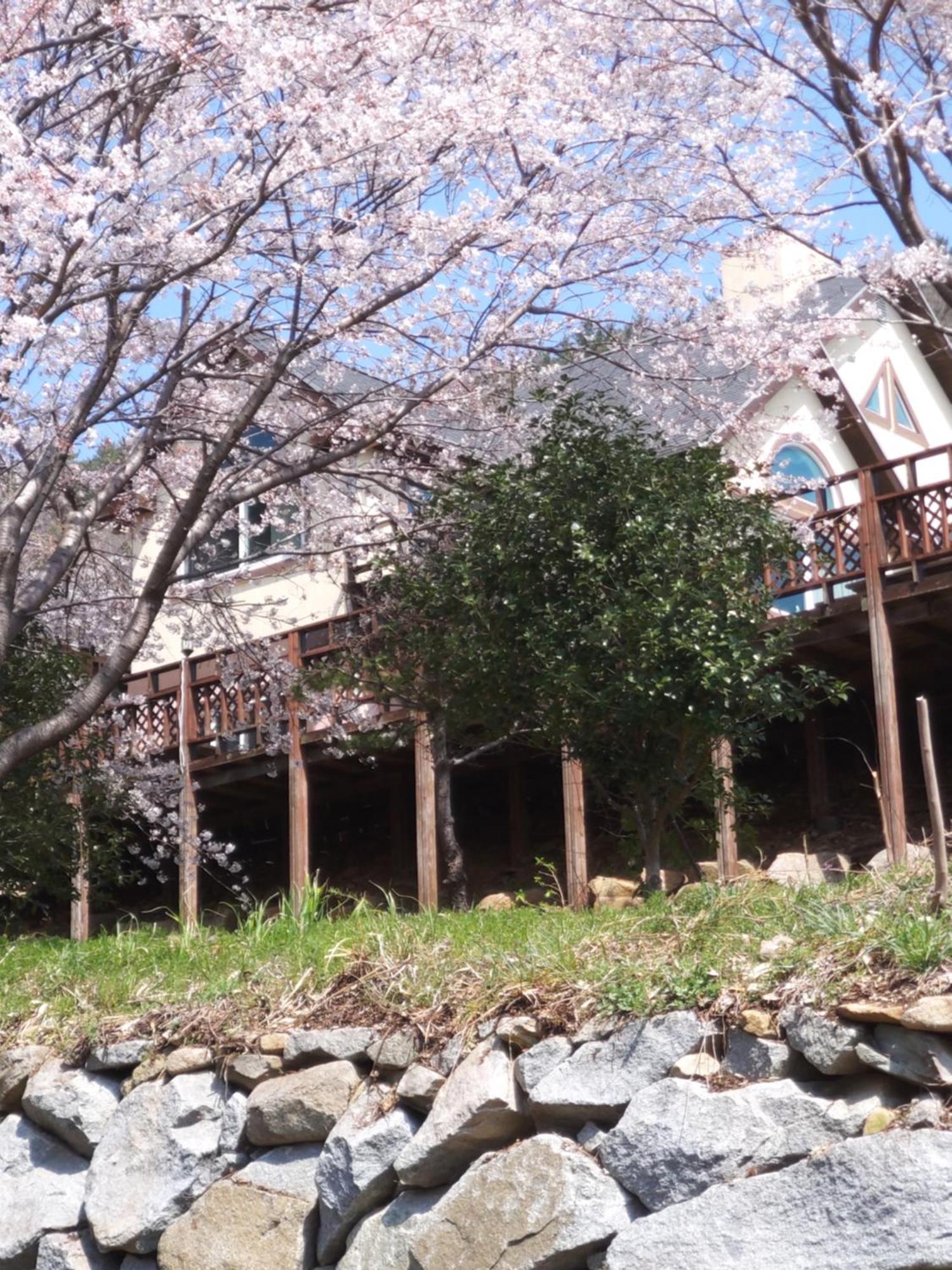 White House Hotel Namhae Exterior foto